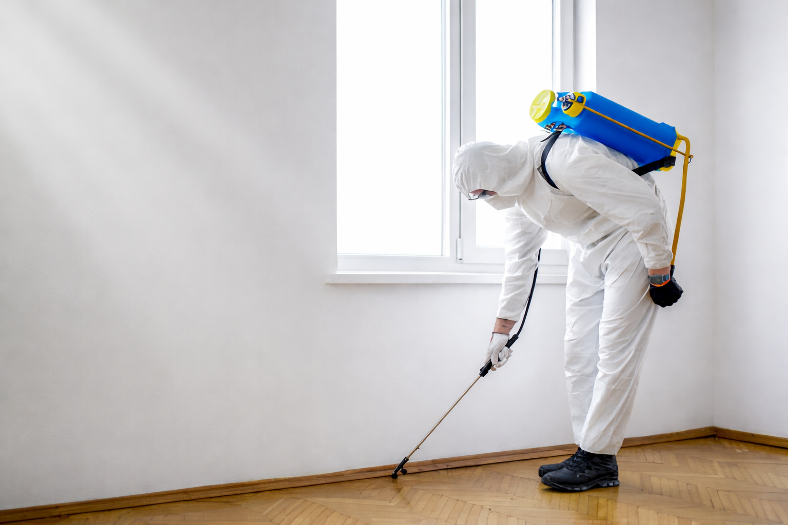 bright pest control